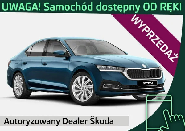 skoda narol Skoda Octavia cena 129650 przebieg: 3, rok produkcji 2024 z Narol